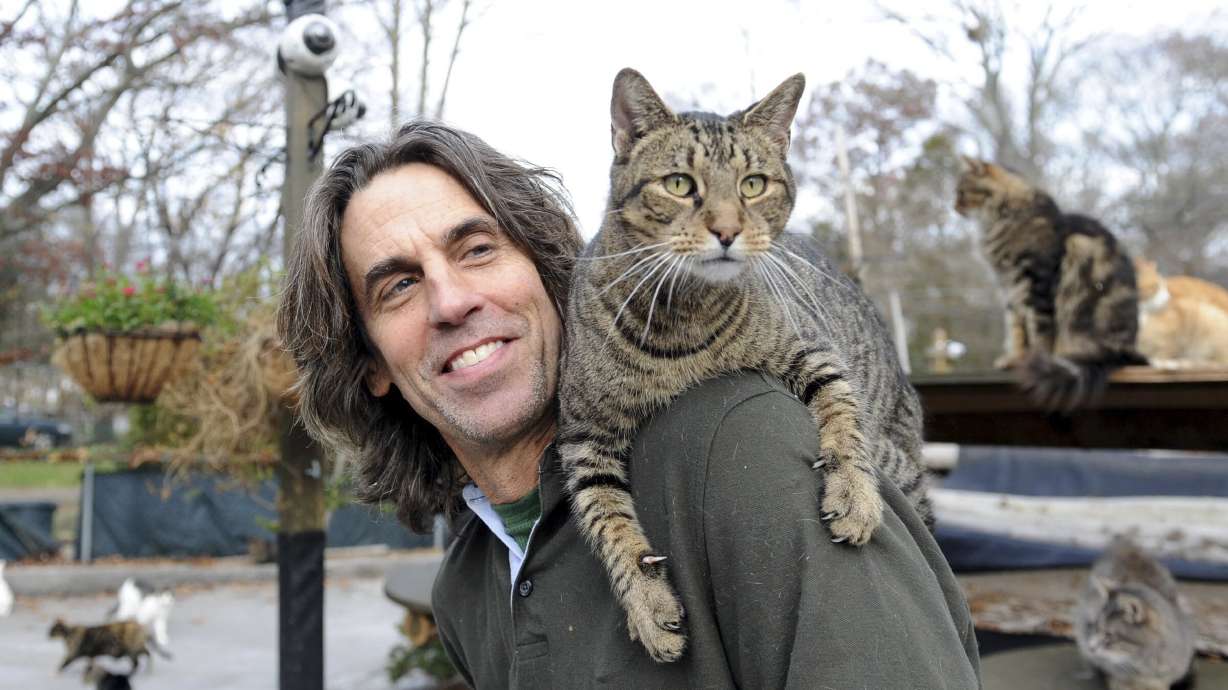 Chris Arsenault with one of nearly 300 cats he cared for at his Happy Cat Sanctuary in Medford, N.Y., Dec. 6, 2016. Authorities say a fire burned the Long Island cat shelter, killing Arsenault and at least 59 of the felines.