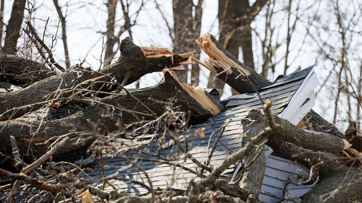 A tree lies on top of a damaged home where authorities say a man was killed during a weekend storm in Stockbridge Township, Mich., seen on Tuesday.