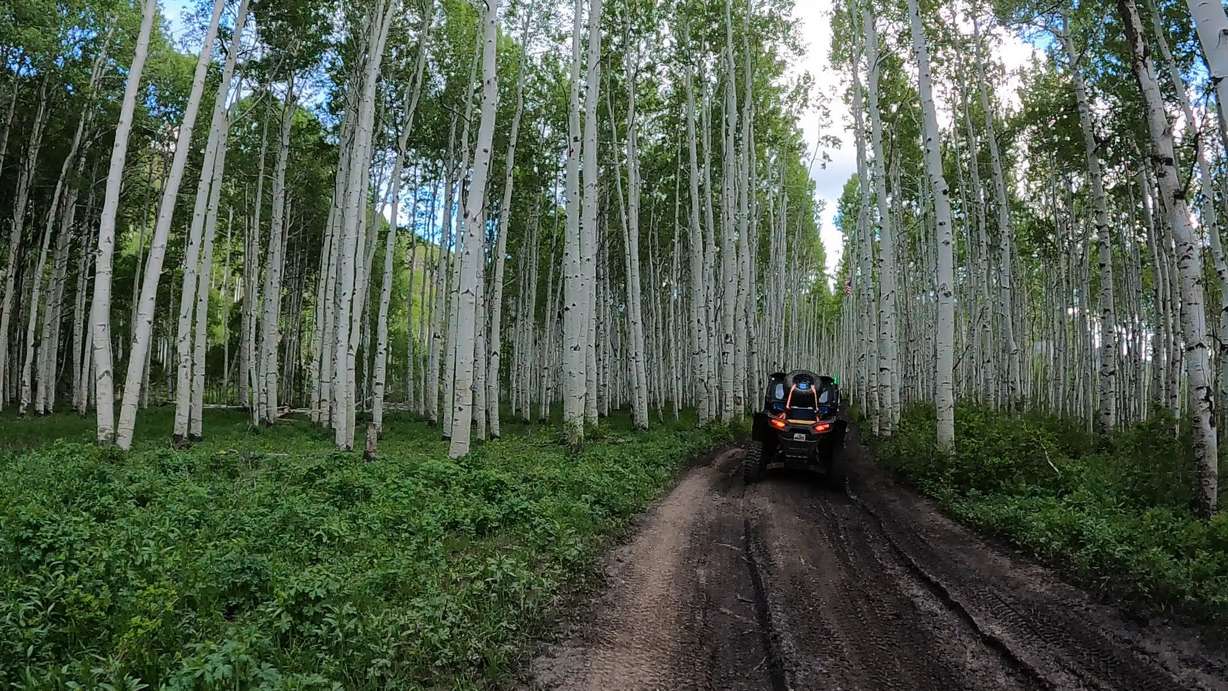 8 reasons Utah ATV fans should plan their next adventure to the Arapeen Trail