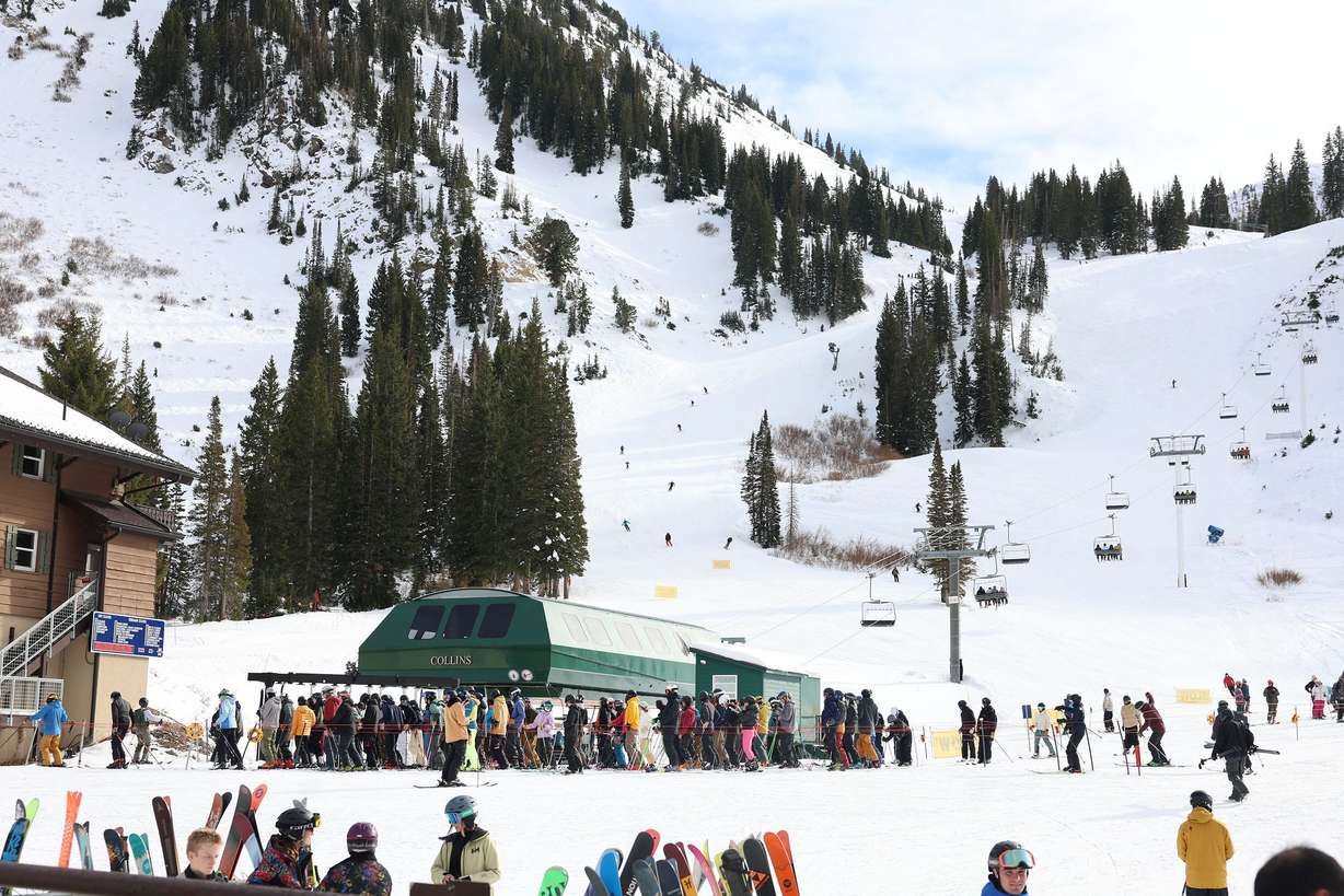 Skiers partake in Opening Day at Alta Ski Area in Little Cottonwood Canyon on Nov. 22, 2024.