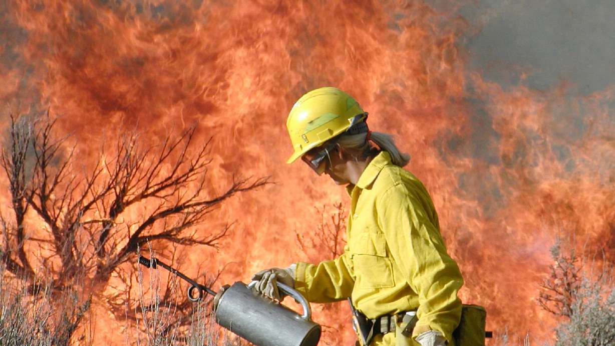 The Utah Division of Wildlife Resources burns old growth vegetation at Gordon Creek in Carbon County. Multiple groups have pledged a record $6.6 million to help restore Utah landscapes and troubled watershed areas.