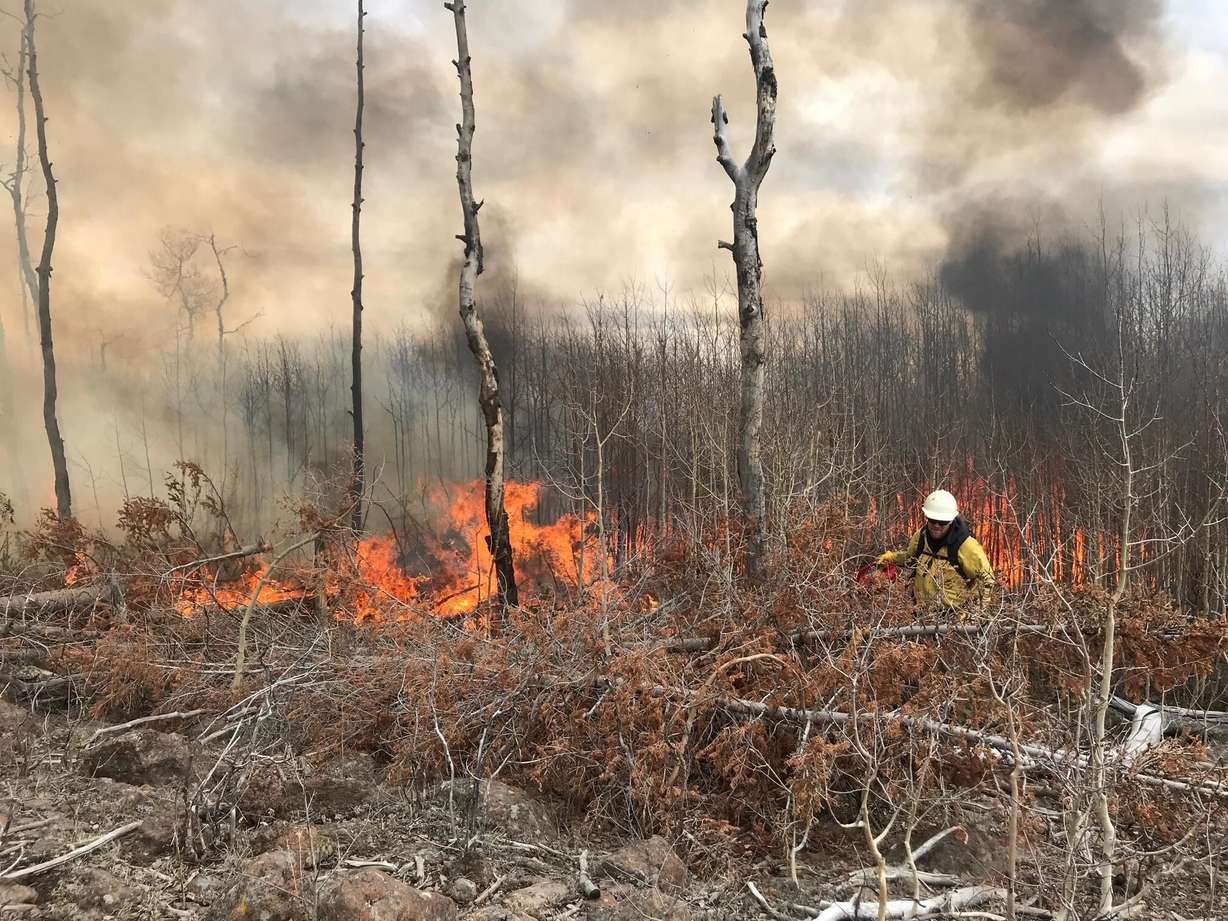 A prescribed fire at Monroe Mountain at Fish Lake National Forest is undertaken as part of Utah's Watershed Restoration Initiative.