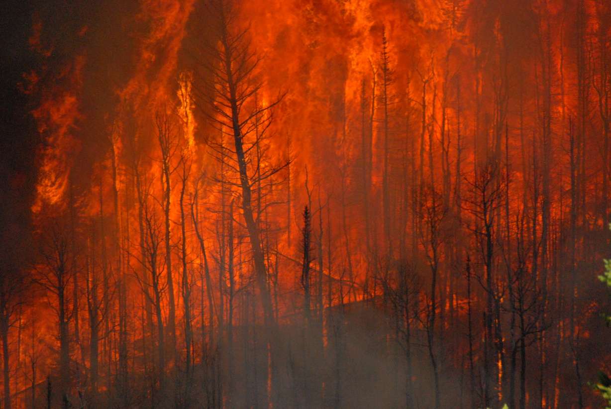 Under Utah's Watershed Restoration Initiative, a prescribed burn is conducted in the Cold Springs area of Carbon County. The area is home to mule deer, elk and sage grouse, and springs provide ample water to this ideal wildlife habitat.