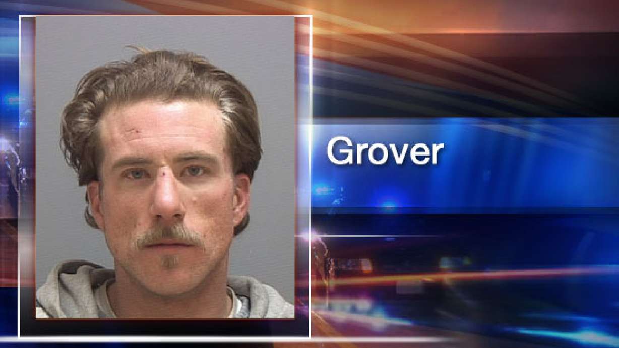 Police capture suspected gun thief