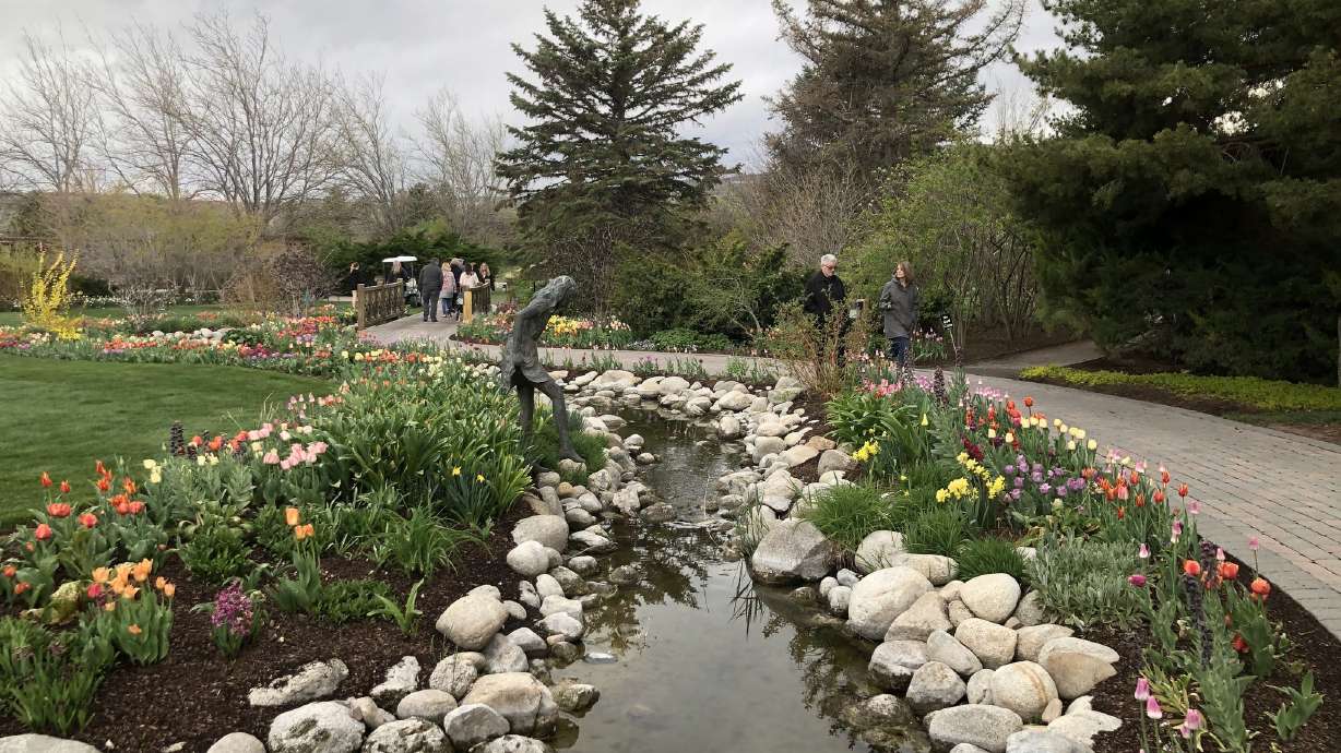 The best places to see spectacular spring flowers in Utah Valley