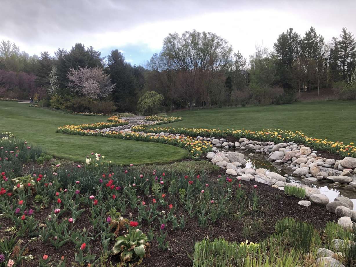 The best places to see spectacular spring flowers in Utah Valley