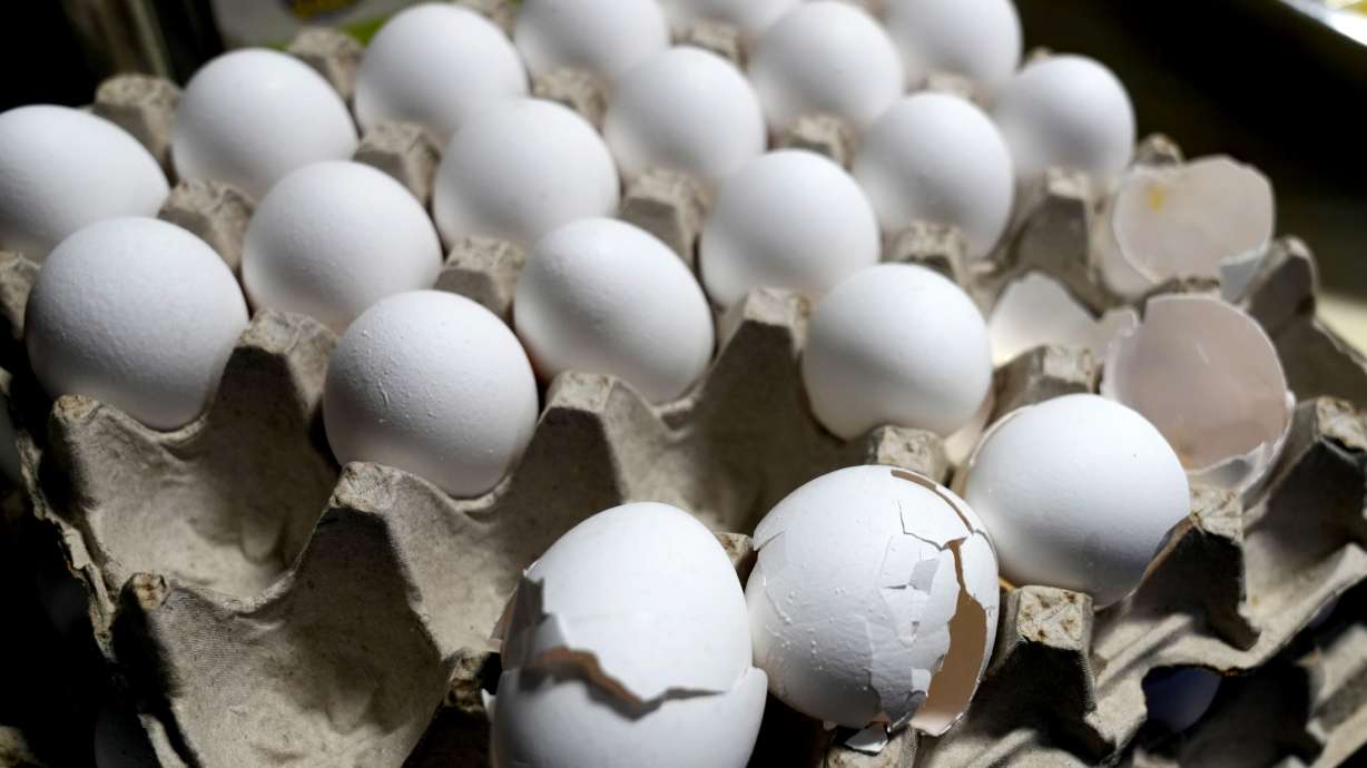 U.S. egg prices increased again last month to reach a new record-high of $6.23 per dozen.