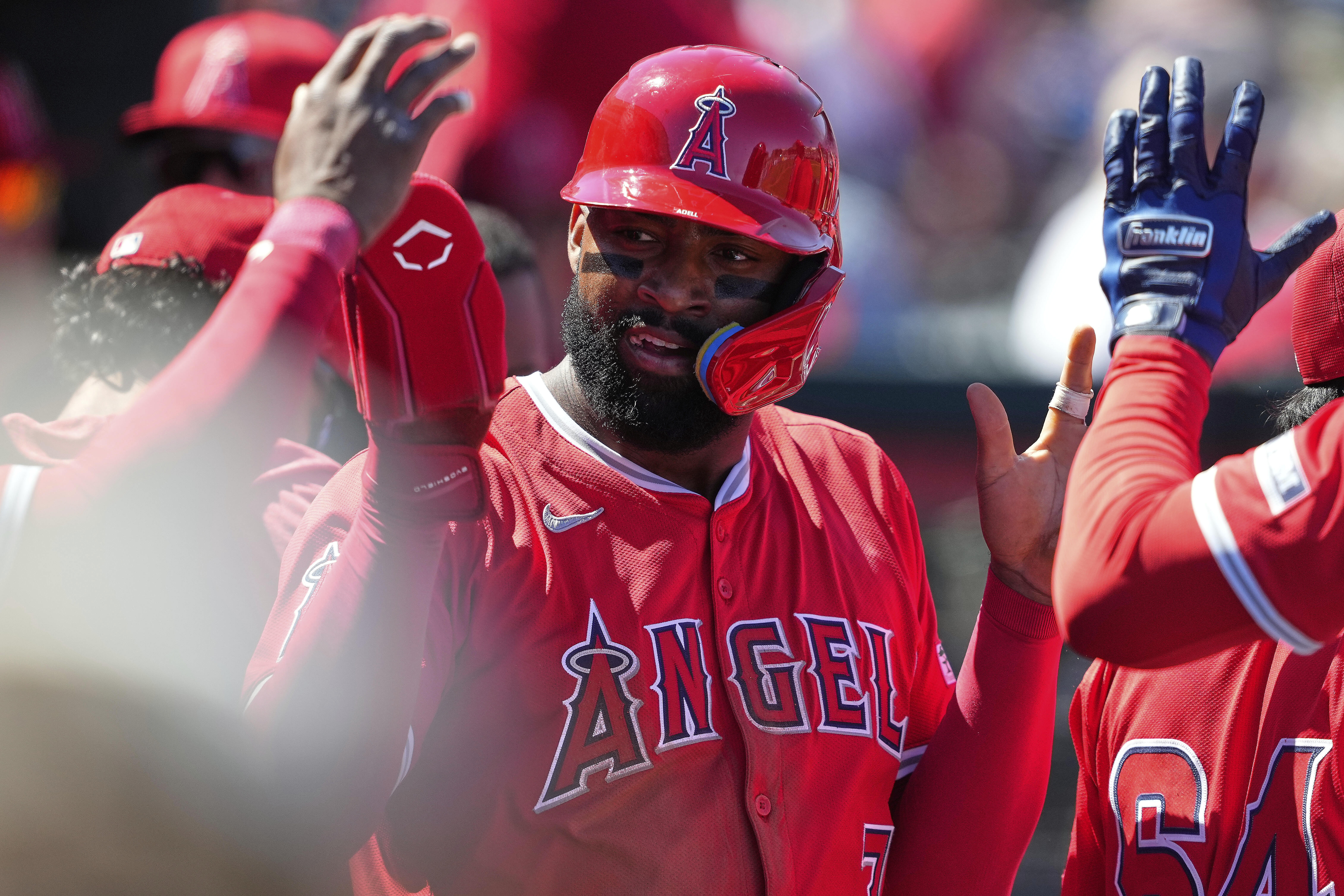 Los Angeles Angels' Jo Adell high fives teammates after scoring on a base hit by Taylor Ward during the third inning of a spring training baseball game against the Cleveland Guardians, Wednesday, March 19, 2025, in Tempe, Ariz.