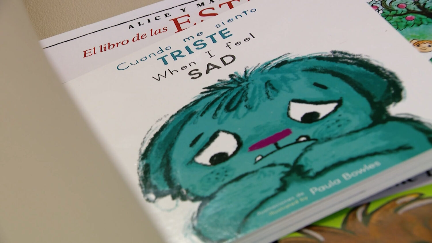 Books are an opportunity to discuss emotions with kids.