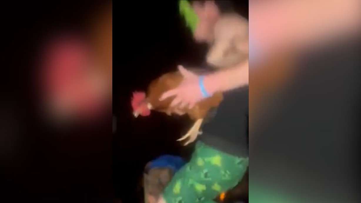 Provo students brought a chicken into a showing of "A Minecraft Movie" as part of the viral "chicken jockey" trend.