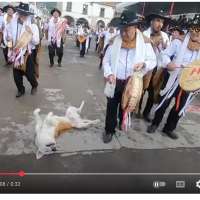 Have You Seen This? Musicians won't let sleeping dogs lie