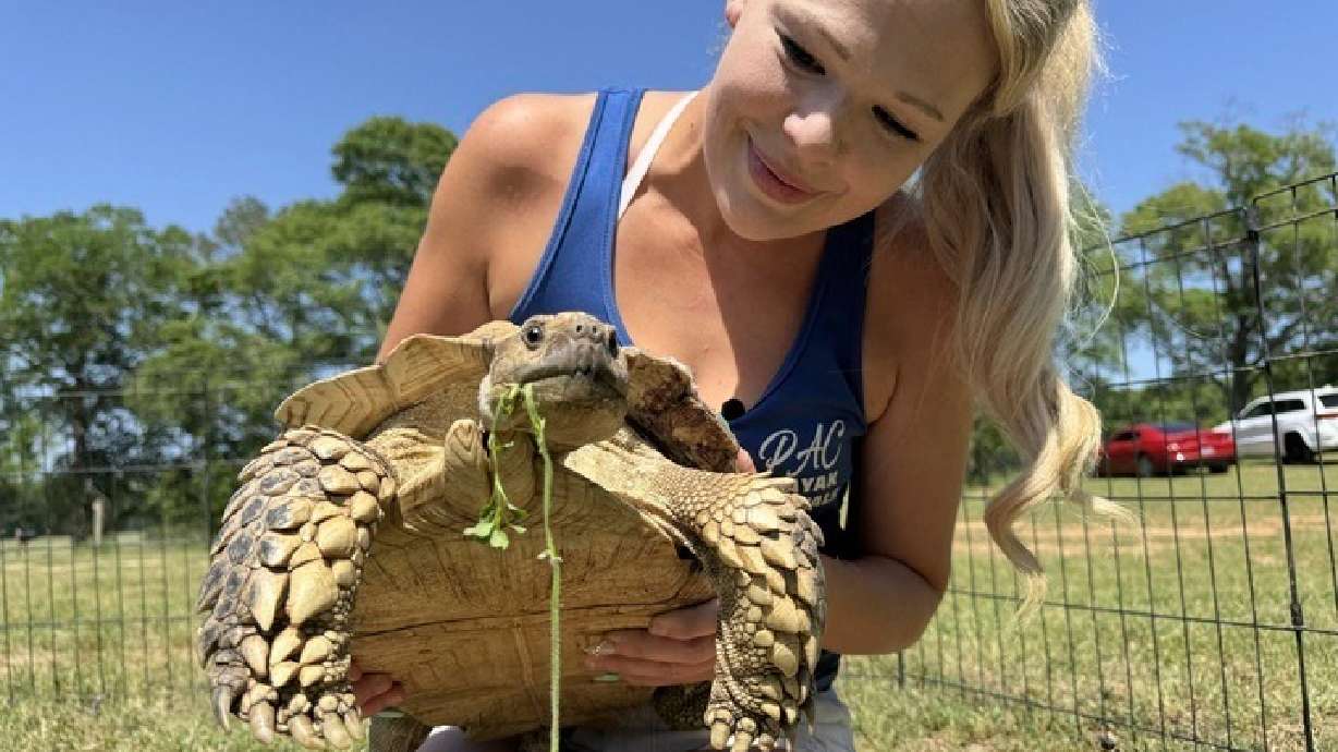 Tiffany Emanuel holds her pet tortoise, Myrtle, in Kokomo, Miss., on Thursday. Myrtle was reunited with the Emanuel family after disappearing during March's tornado outbreak.