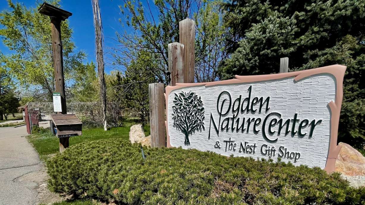 The Ogden Nature Center's plans to mark Black Birders Week prompted backlash from foes who see them as racially divisive but will go forward, though in a different form.