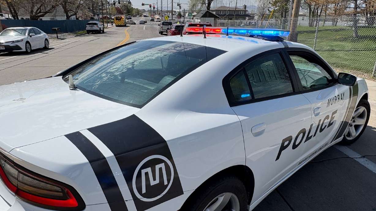 A transient who was arrested and charged last year with digging a giant hole under a freeway overpass has been arrested again and accused of committing the same crime.