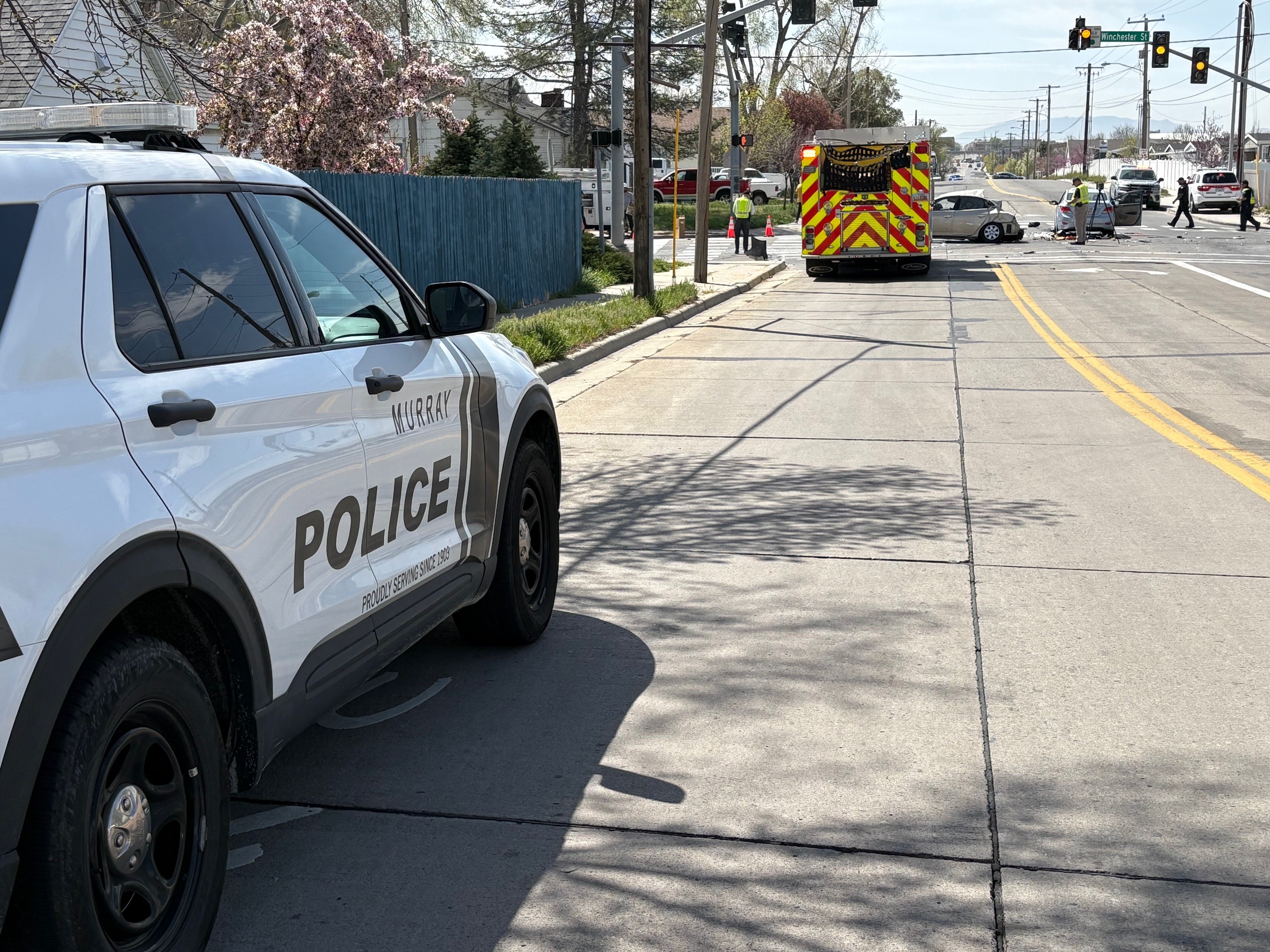 Man arrested in Murray stabbing tried to grab officer's gun, police say