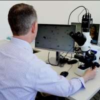 Pollen counter at Riverton Hospital can help guide treatment, actions for allergy patients