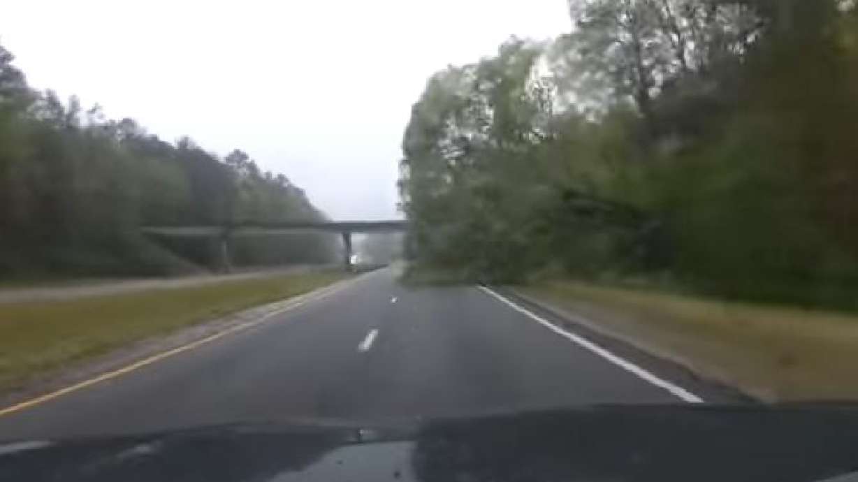 A driver narrowly avoids a tree falling on a highway in Springville, Alabama, April 6.