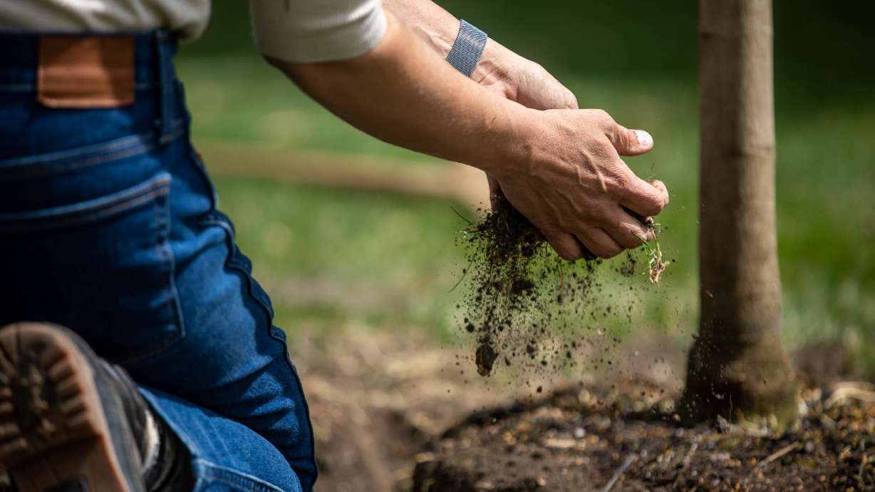Salt Lake City Mayor Erin Mendenhall plants a tree in Salt Lake City on April 19, 2021. Utah City will plant 1,000 trees as part of the first phase of development for the walkable community.