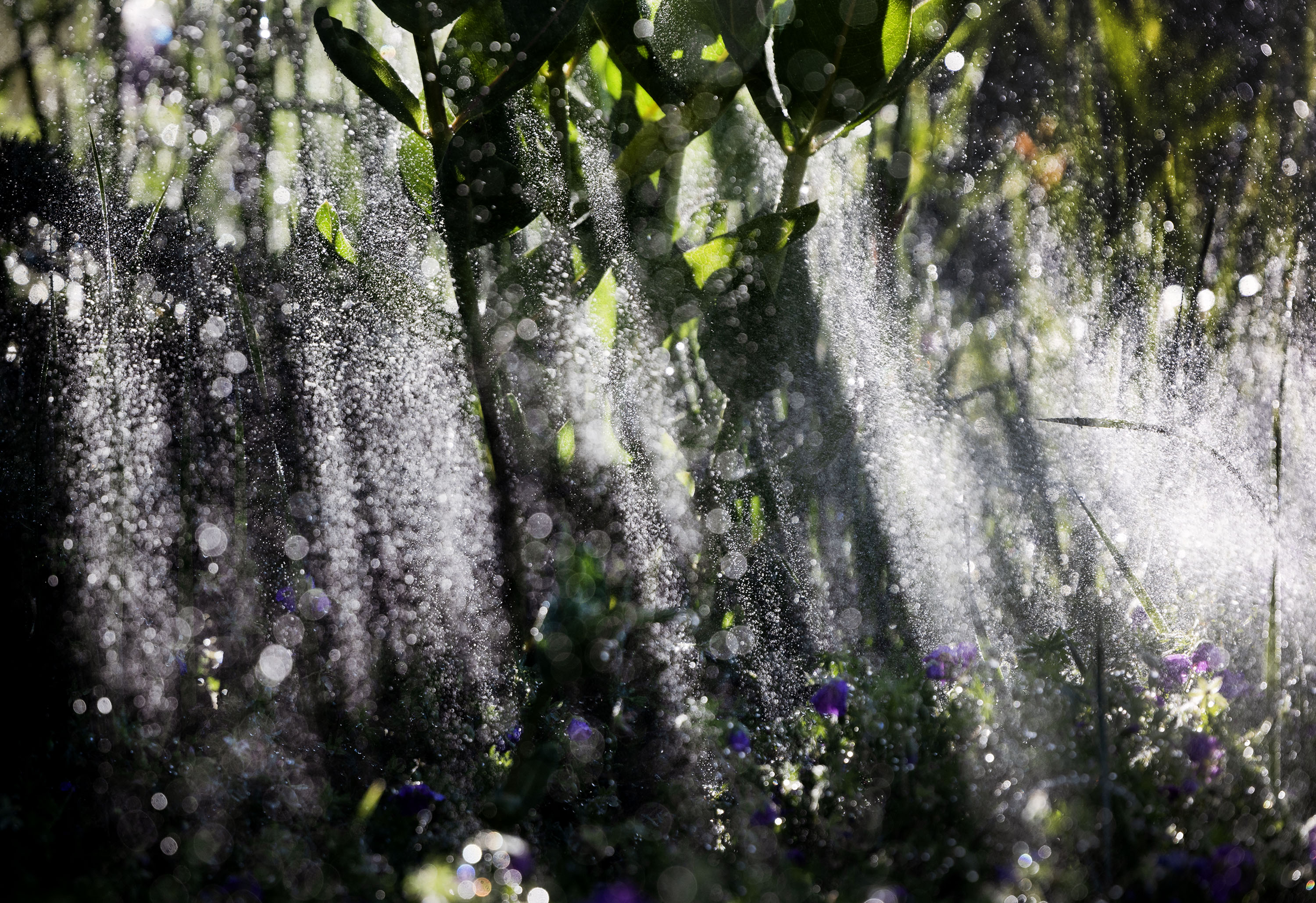 Utah water managers say most Utahns don't need to water their lawns until mid-May, at the earliest, following another good winter for most parts of the state.