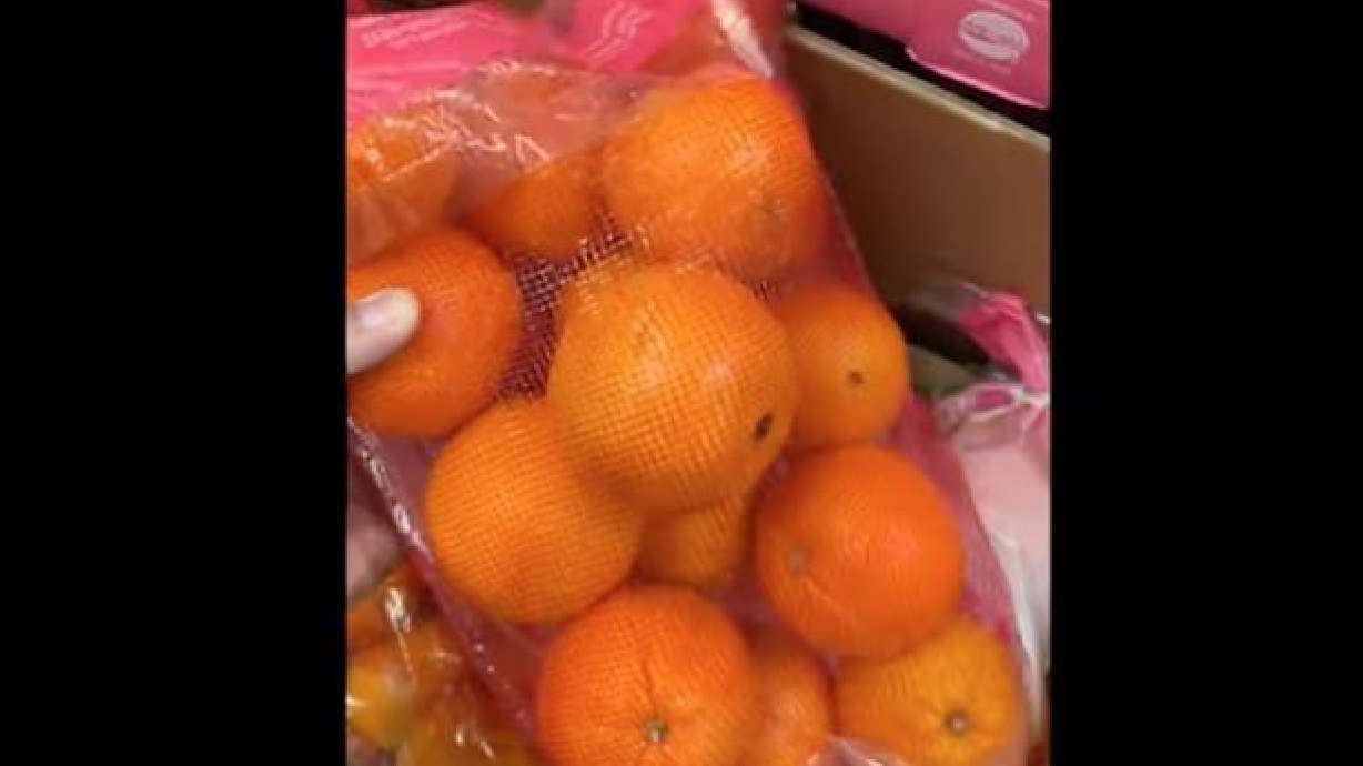 A produce bag enhances the color of the oranges in this March 13 video from Corona, California.