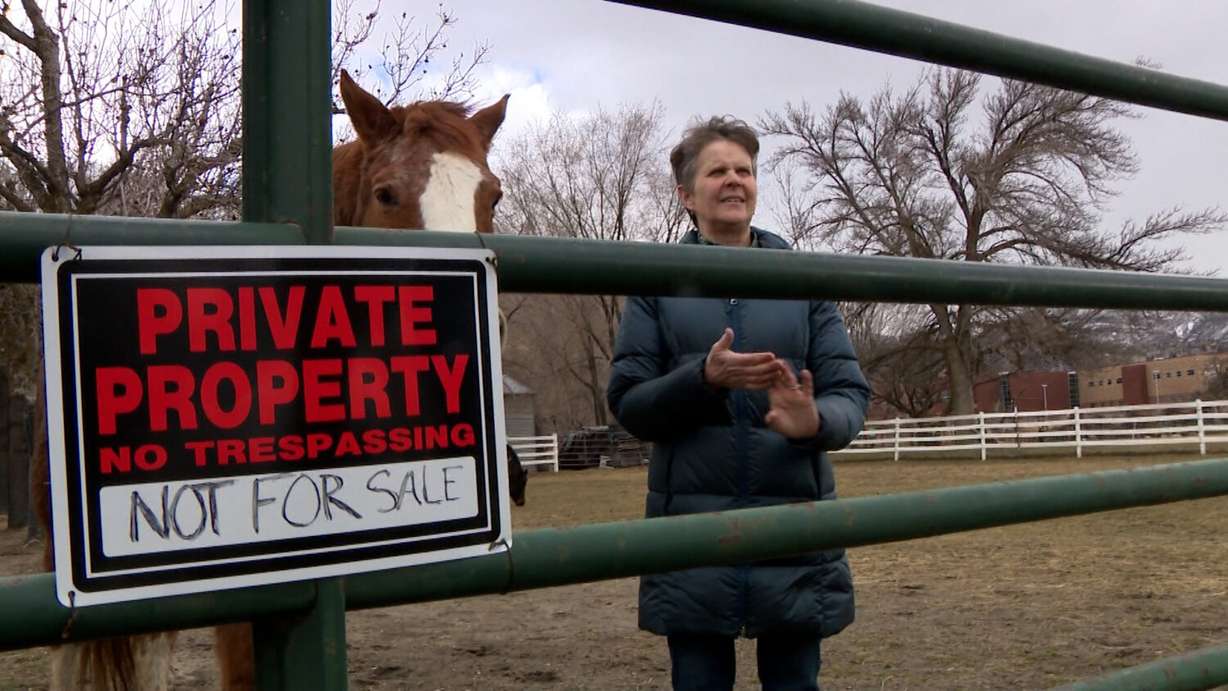 Kim Agnew says she only discovered her land had been put up for sale when she went to feed her horses and encountered an interested buyer.