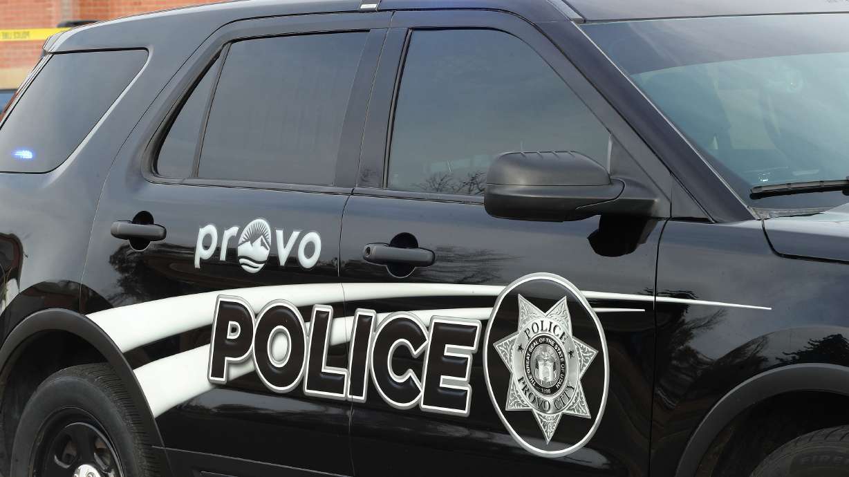 Provo police say they detained a male individual near Provo Towne Centre Friday with a gun, ammunition and four devices resembling pipe bombs.