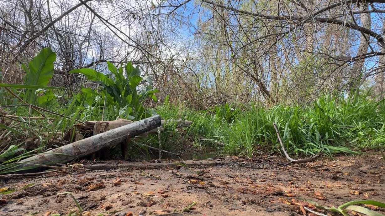 The creek between Westwater and Blanding, which used to be residents’ primary water source, on Friday.