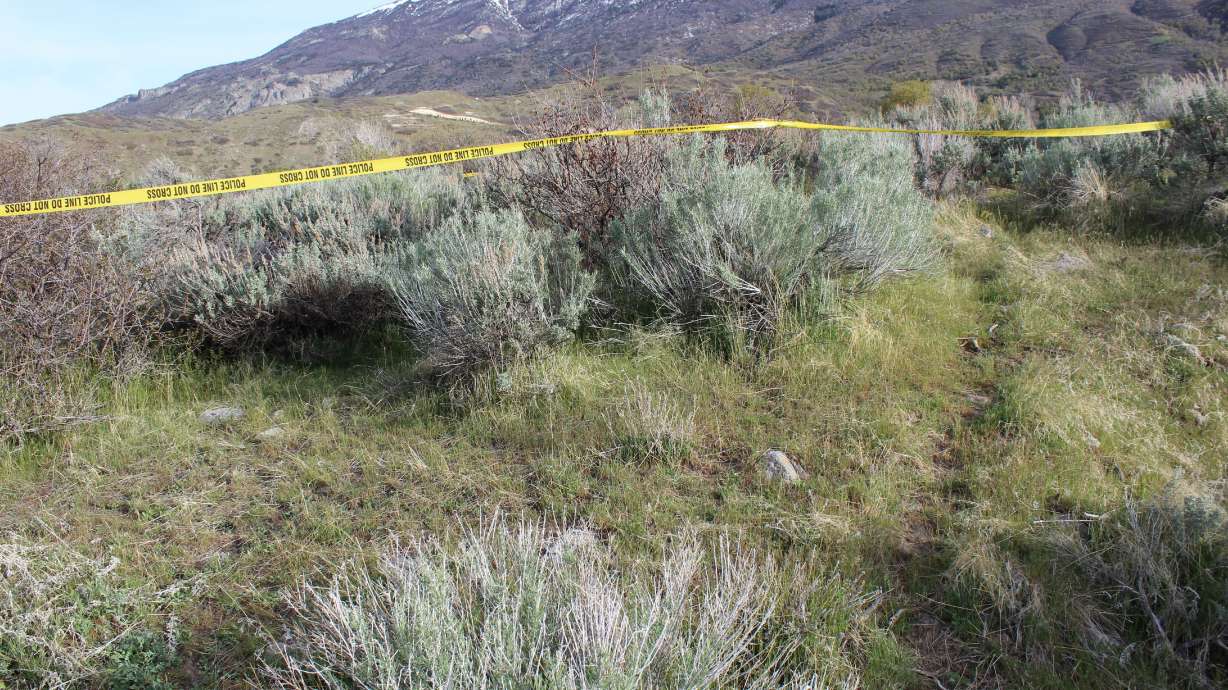Police reported skeletal human remains were found Friday at Lambert Park in Alpine.