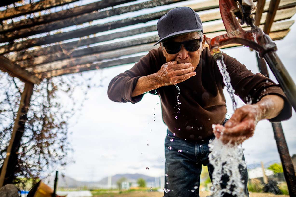 Harka Mongar takes a drink of water after farming at New Roots Redwood Farm in West Valley City on Thursday.