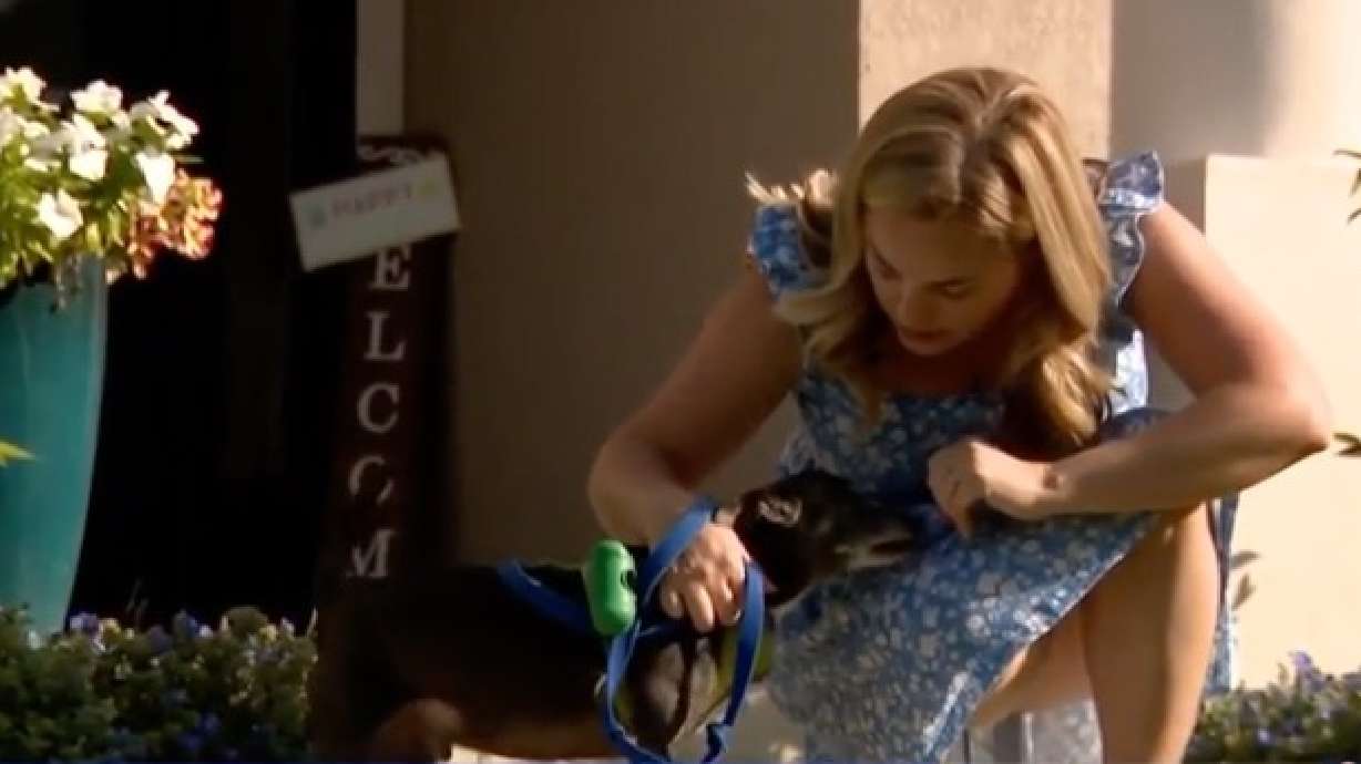 A Florida woman says she and her dog were saved by a bag of cookies when a bear attacked them last week.