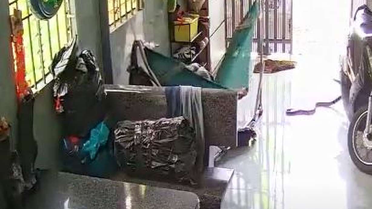 A cobra sneaks its way into a home where a woman relaxes in a hammock in Dien Khanh, Khanh Hoa, Vietnam.