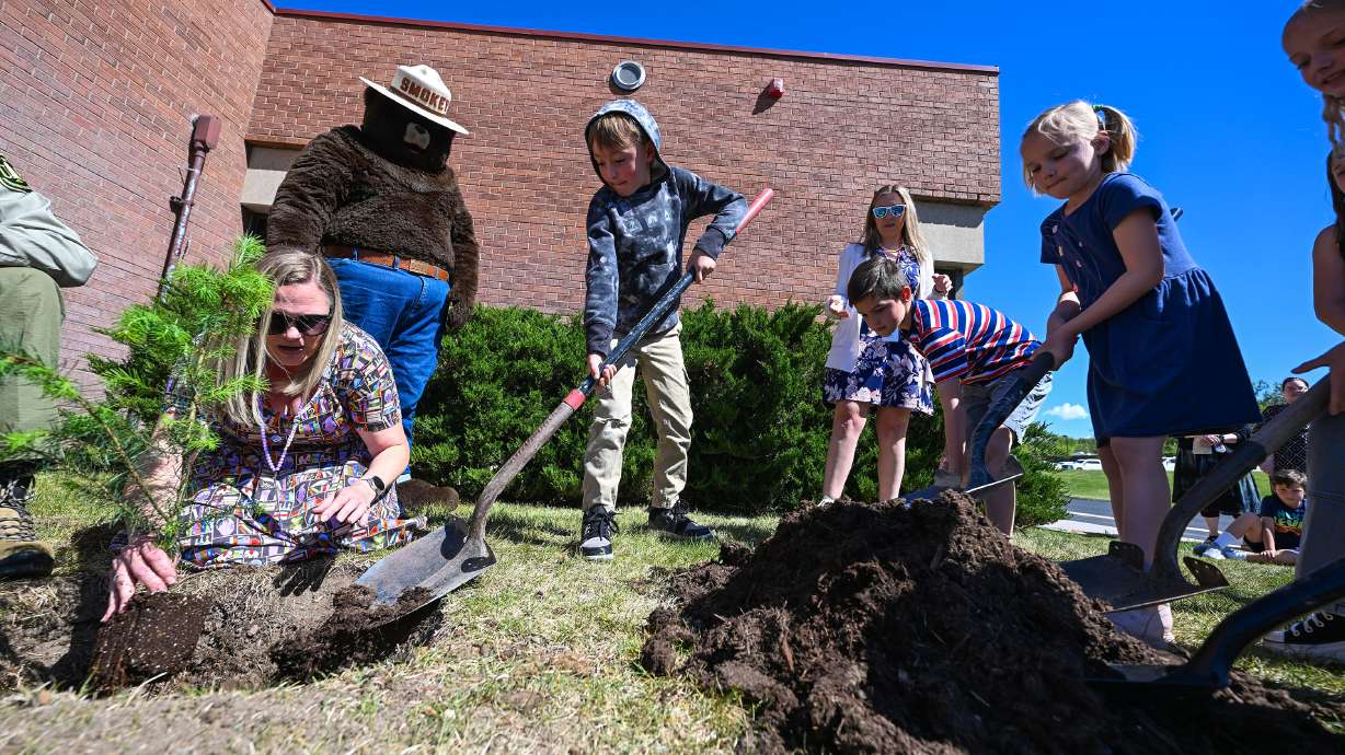Students at Sprucewood Elementary School in Sandy use shovels to put dirt into the hole as they participate in a "moon tree" planting on Tuesday. The tree was grown from a seed that flew on NASA's Orion spacecraft beyond the moon and back.