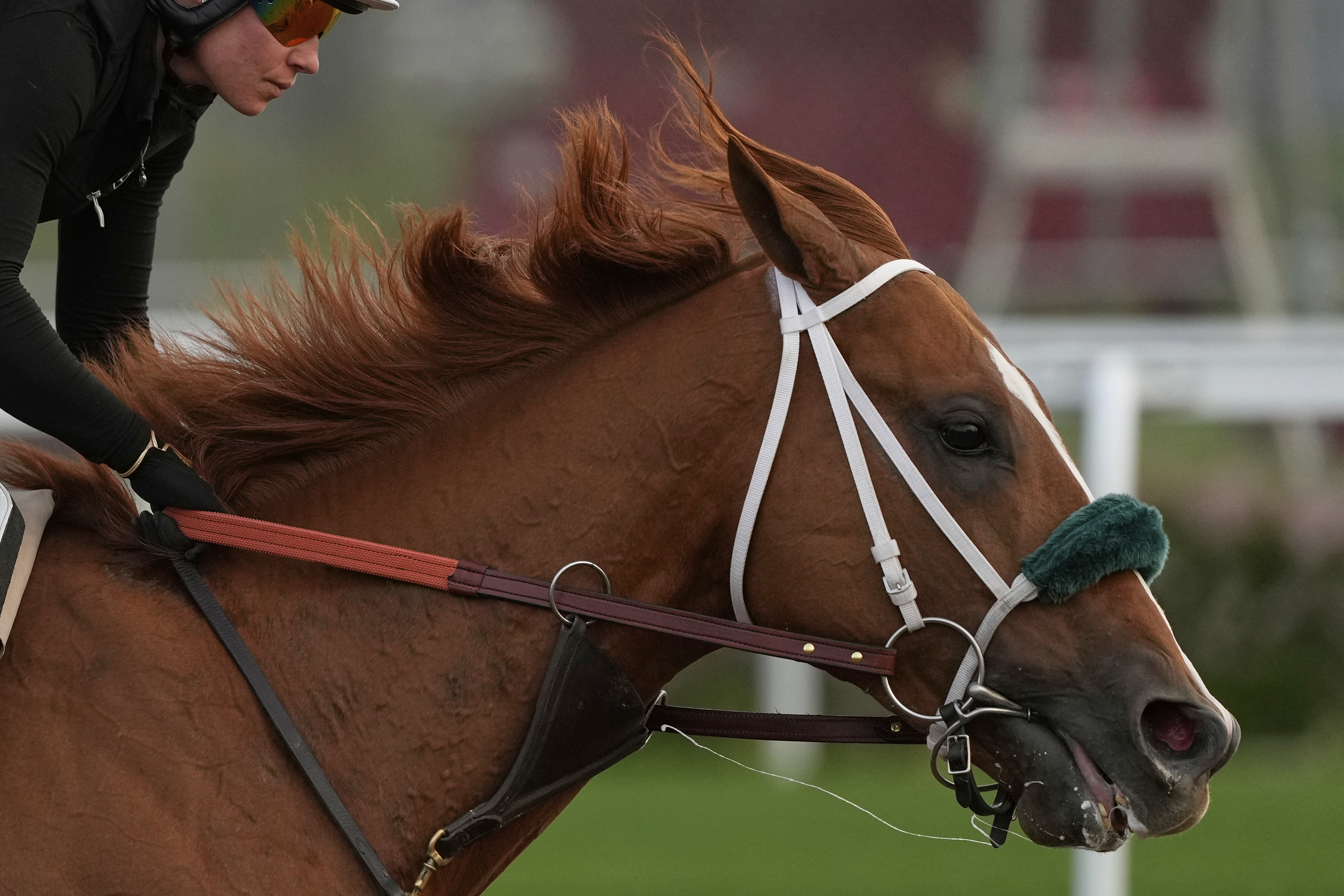A race horse works out at Churchill Downs Tuesday, April 29, 2025, in Louisville, Ky.