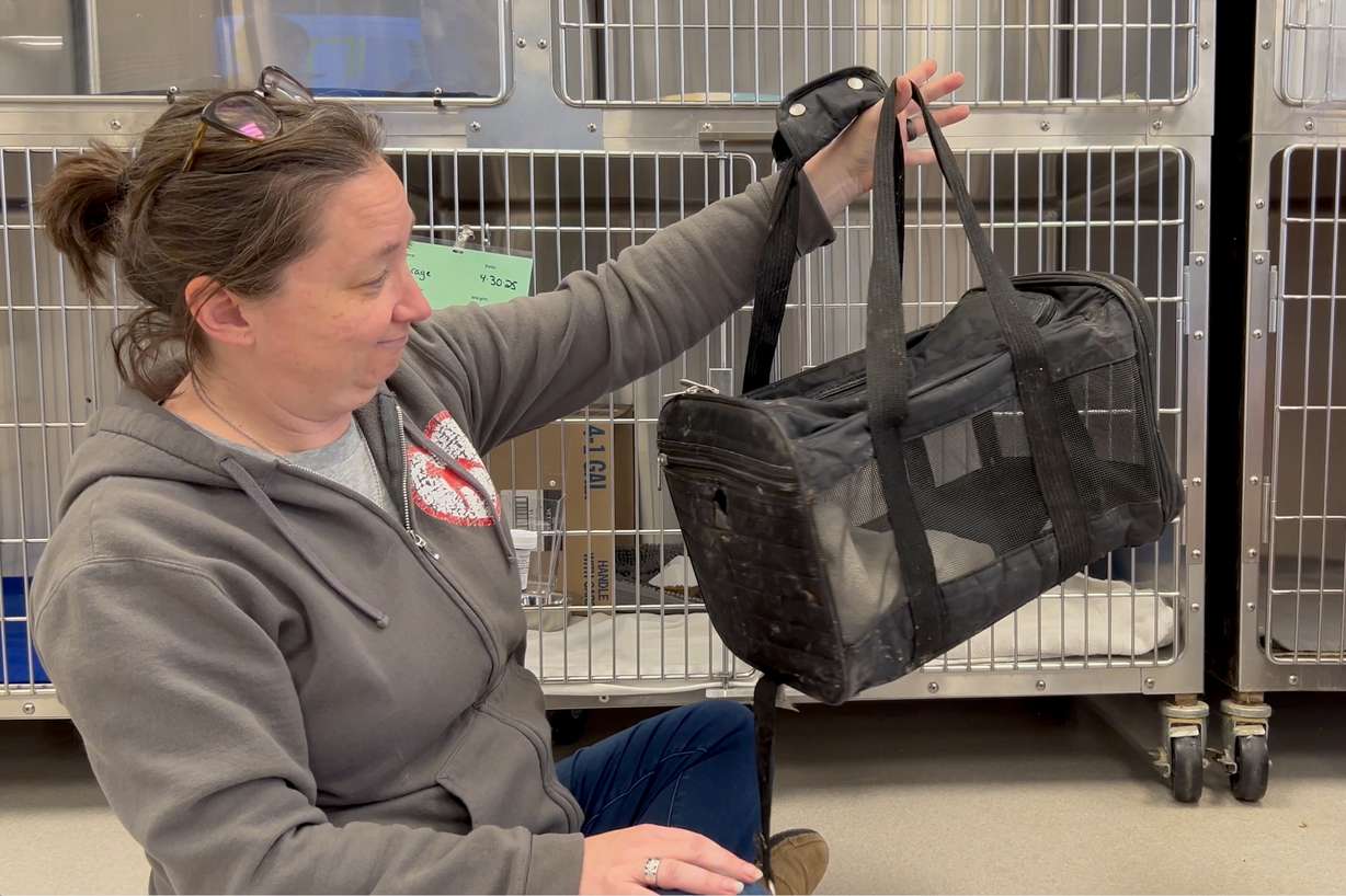 A Best Friends Animal Sanctuary employee shows the soft-sided carrier Mirage was in when she fell with her owners from an edge at Bryce Canyon National Park this week. The owners, a man and a woman, died from the fall, but the cat survived.