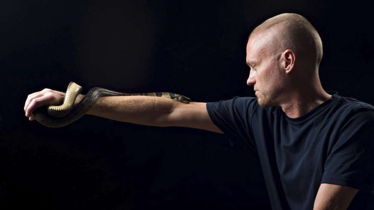 This undated photo provided by Centivax in 2025 shows Tim Friede, who is hyper-immune to the venom of various snakes, with a water cobra wrapped around his arm.