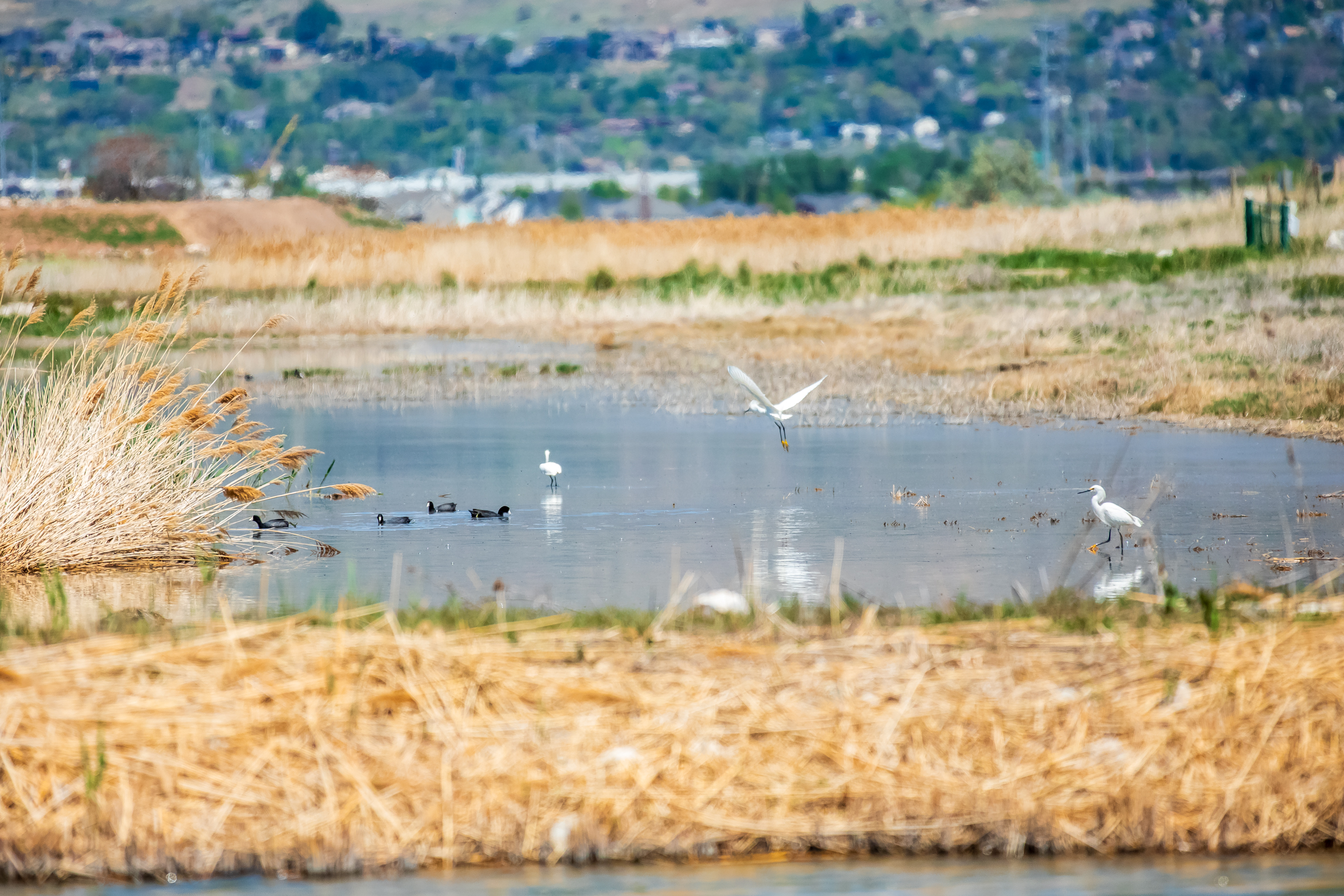 You'll soon need a license to enter these Utah wildlife management areas