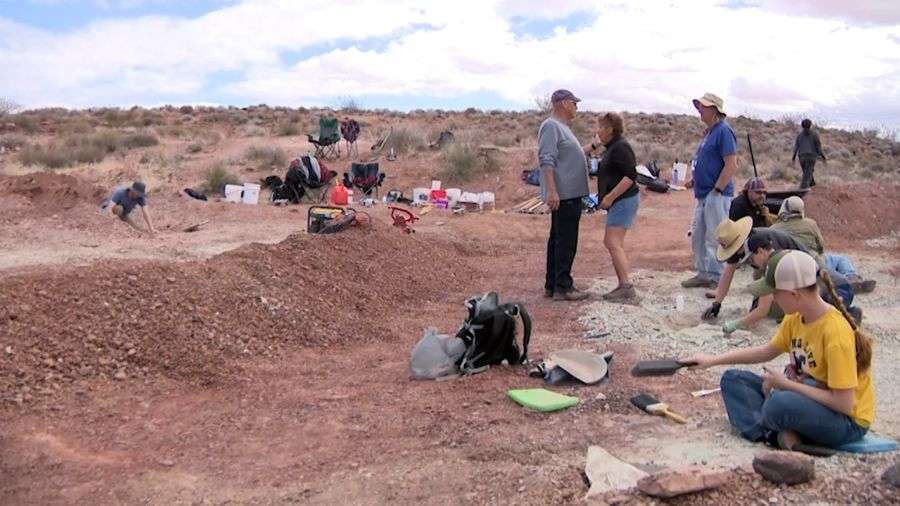 Thousands of volunteers from across the country and even around the world came to dig, sort, and document fossils and bones.