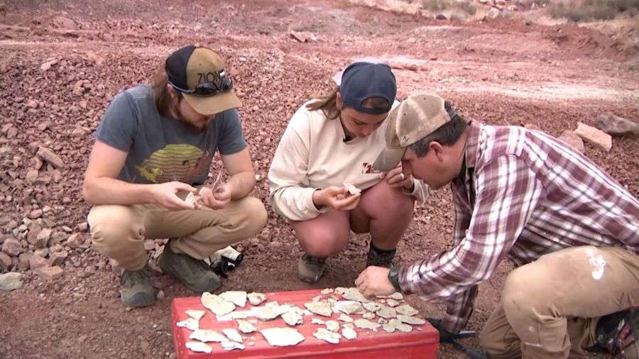 Thousands of volunteers from across the country and even around the world came to dig, sort, and document fossils and bones.