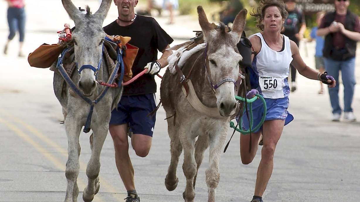 FILE - Racers Bobby Lewis, left, and Barb Dolan sprint to the finish line with their burros "Wellstone" and "Chugs" respectively, to tie for 1st place during the Gold Rush Days festival, Aug. 15, 2004, in Buena Vista, Colo.