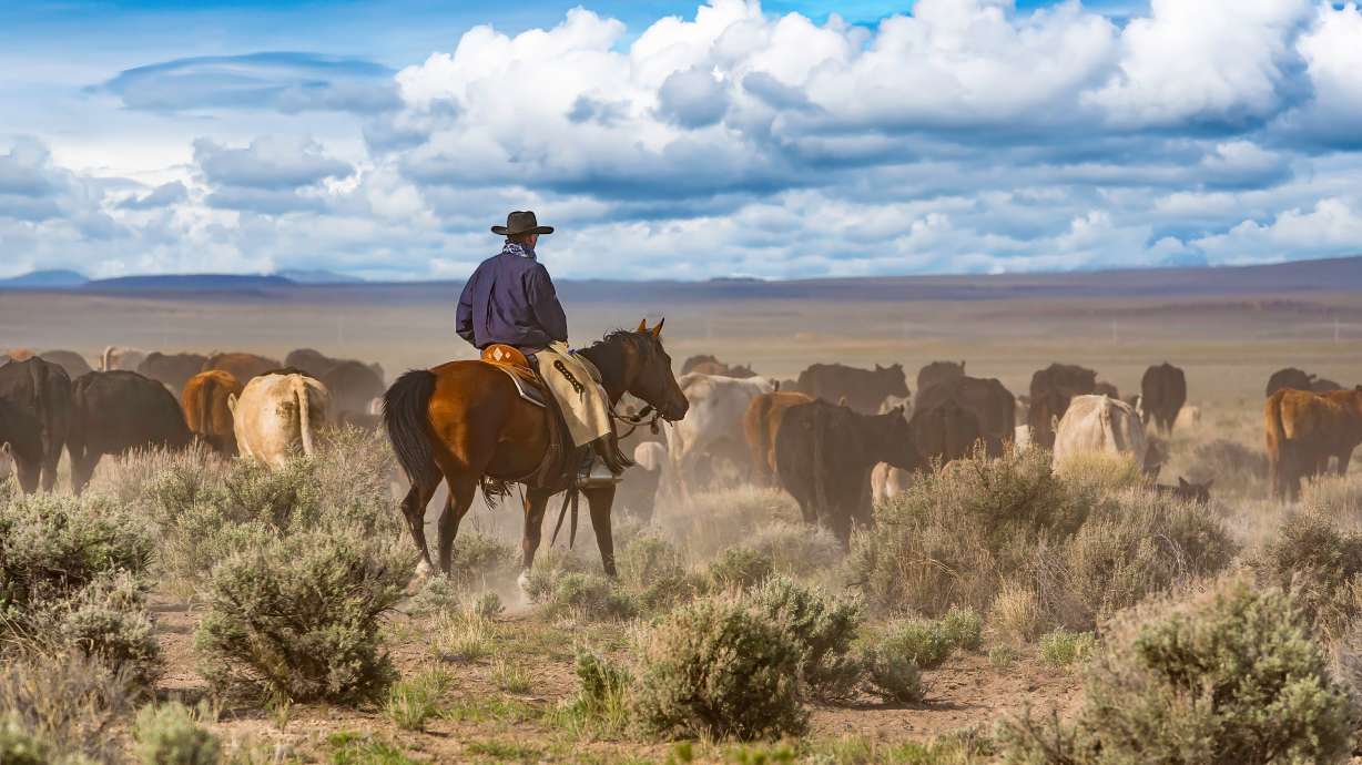 Do you know where your beef comes from?