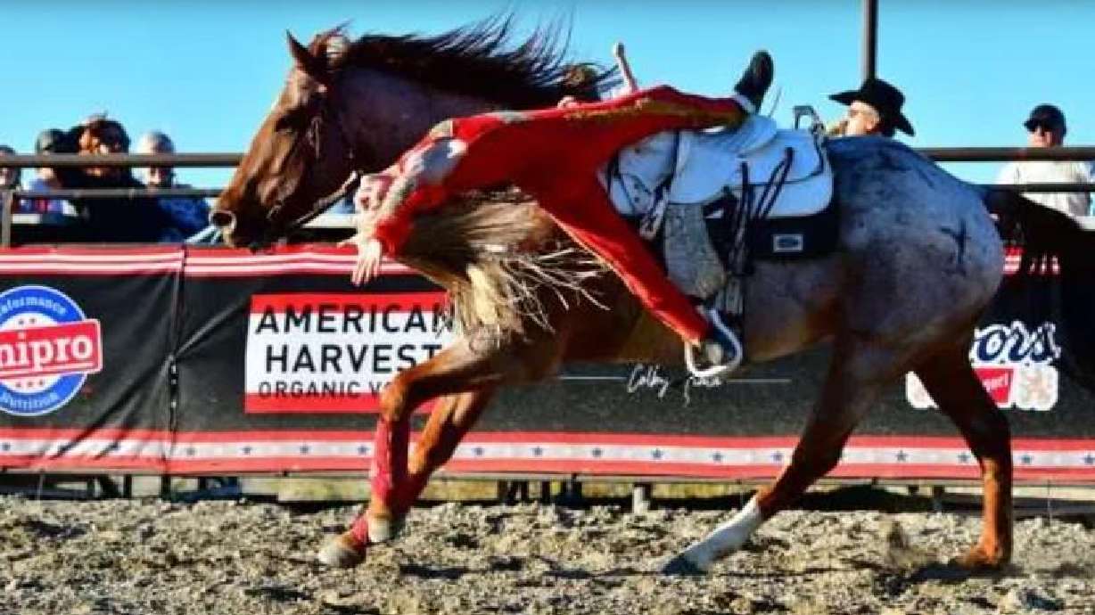 Maximize your student's summer without disrupting family time with Utah Online School