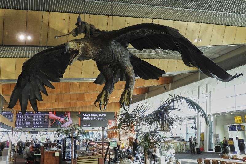 A sculpture of an eagle from the Hobbit films, ridden by the wizard Gandalf, hangs over the food court area of Wellington Airport, in Wellington, New Zealand, Monday.