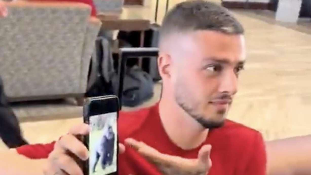 Alex Katranis shows an image of a gorilla on his phone.