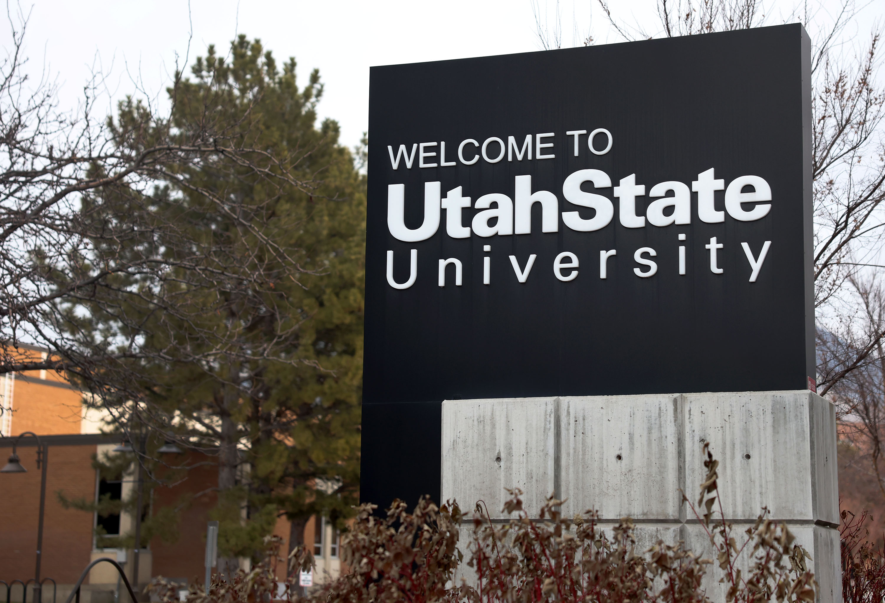 USU research team creates digital therapy tool to expand health care access