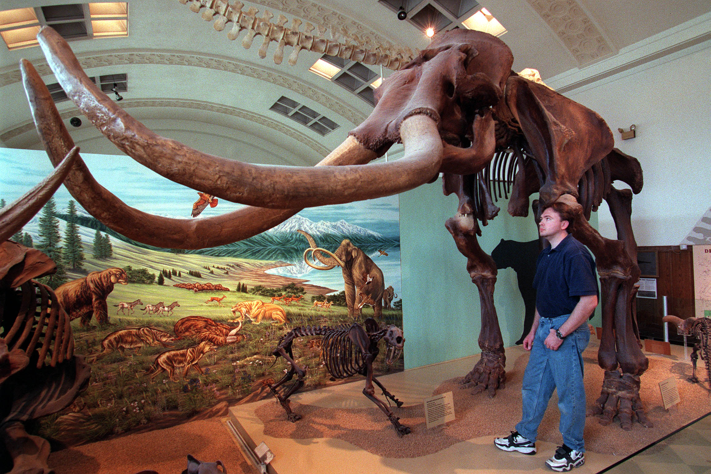 'It became this really cool thing': Utah's long history with mammoths