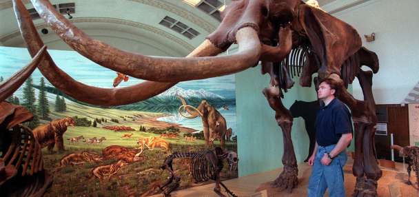 Top Outdoors story anchor