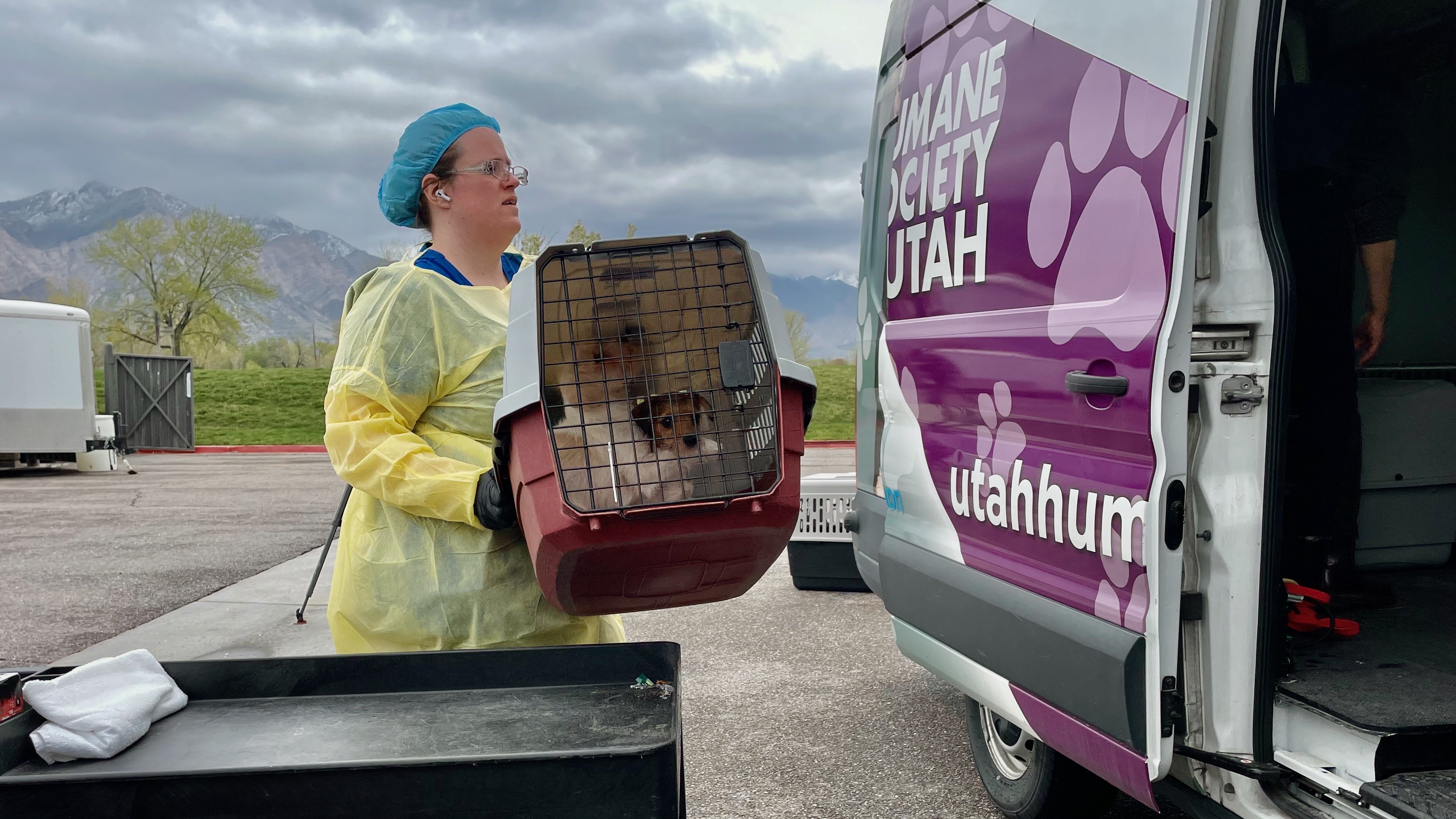 Ogden man faces 637 misdemeanor charges after 156 dogs removed from his home