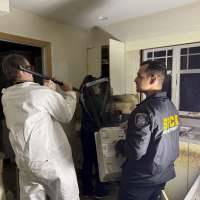 New York man charged after nearly 70 live cats and two dozen dead kittens are found in his home