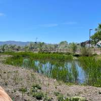 'Sanctuary for our community': Sandy opens revitalized wetland park