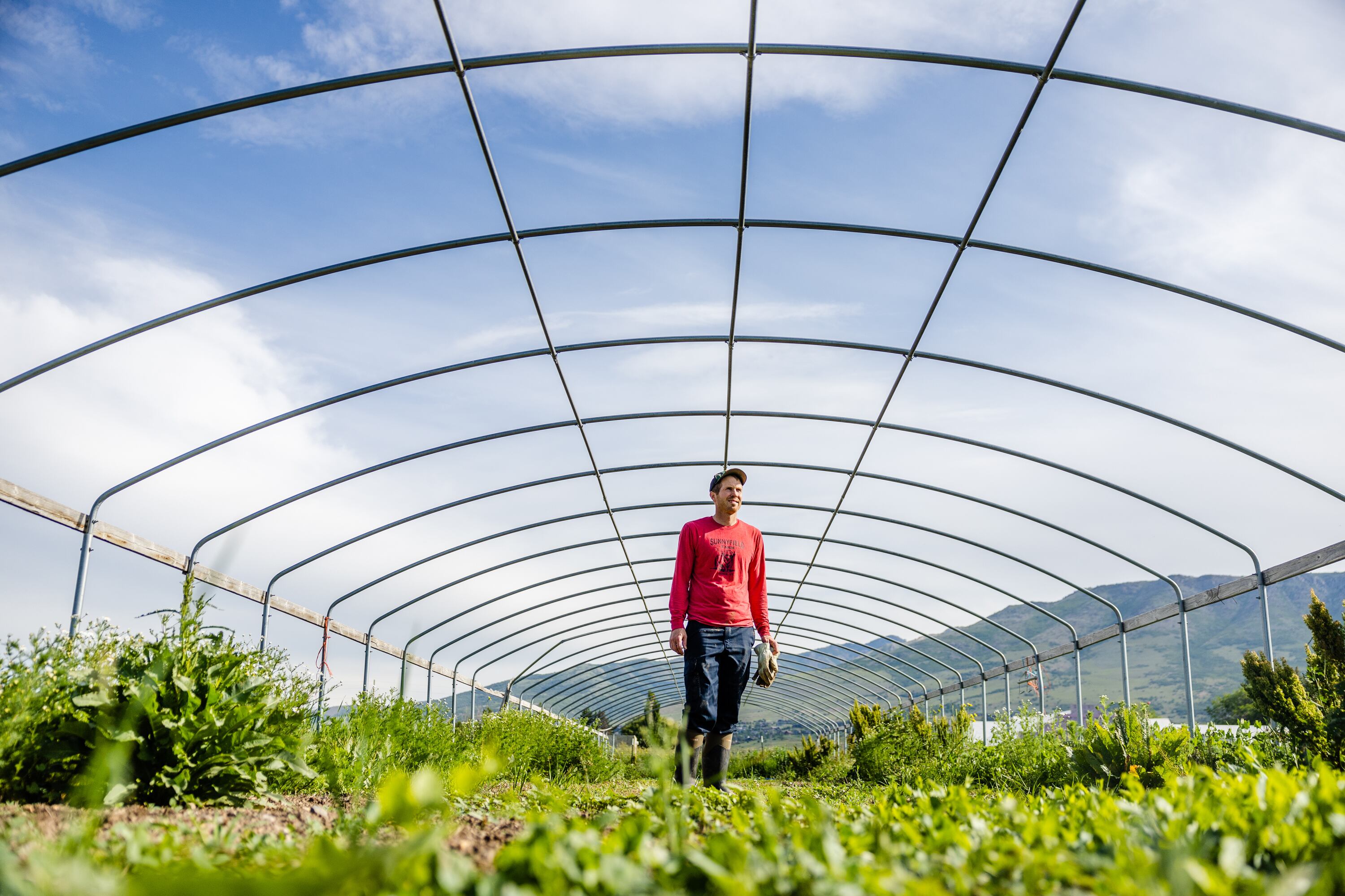 Alan Vause poses for a portrait at Sunnyfield Farm in Eden, Weber County, on June 29, 2023. Vause’s family has farmed the land for the last five generations.